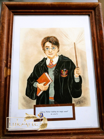 Harry Potter holding his magic wand