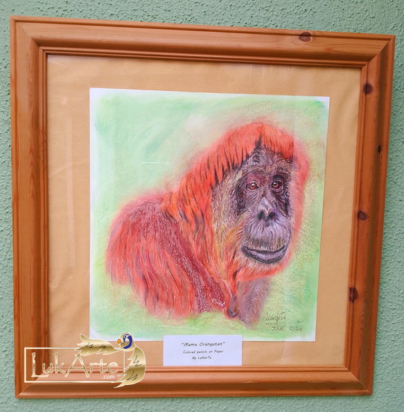 Mama Orangutan