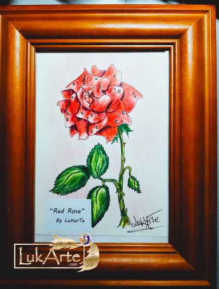 Red Rose
