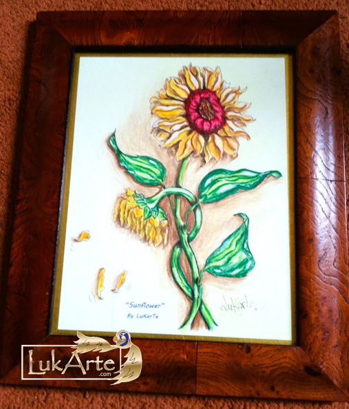 Sunflower